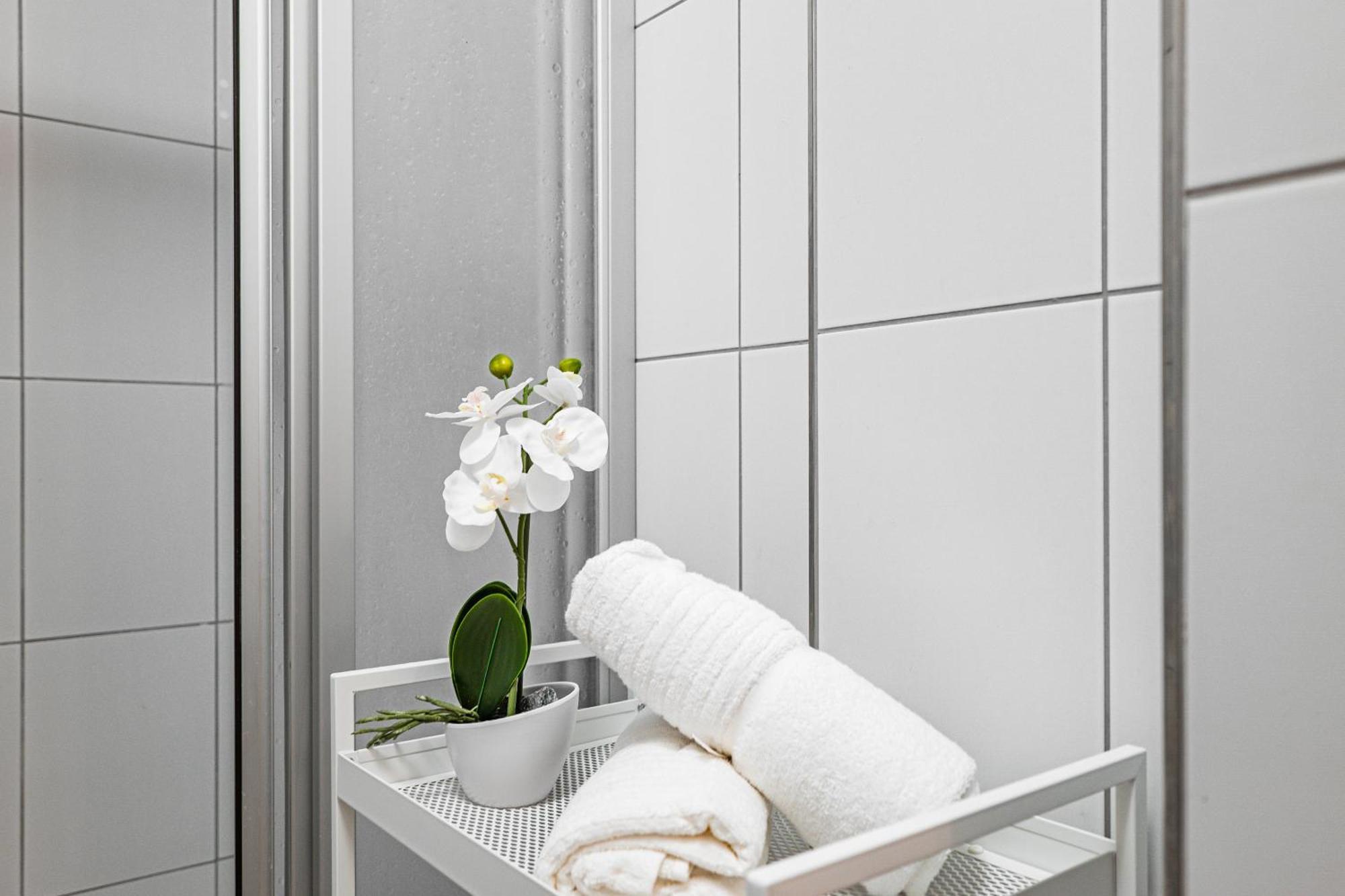 Karlsbad Apartments * Karlovy Vary
